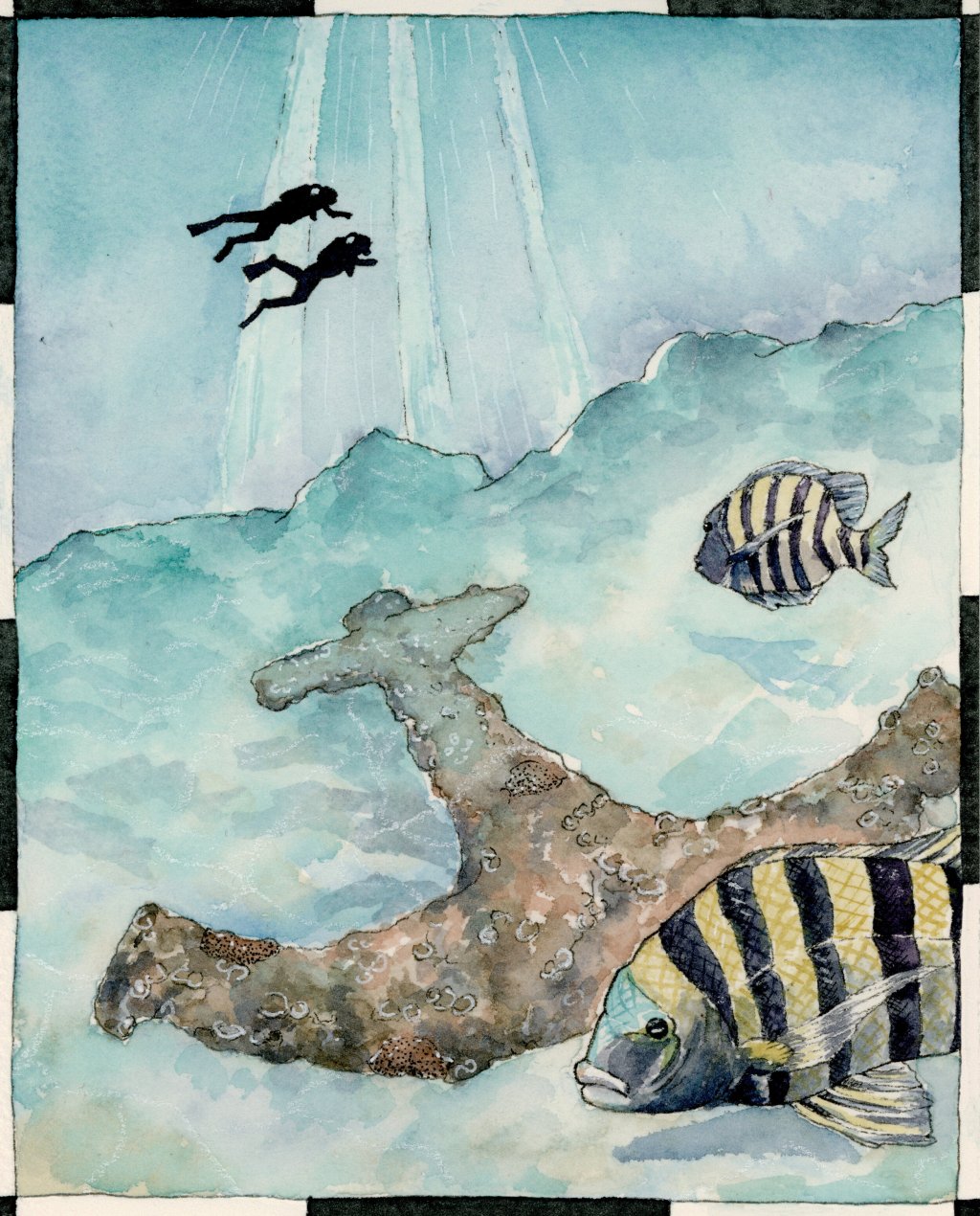 ISSUE № 5:&nbsp;DIGGING